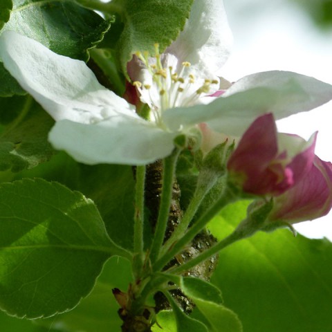 P1110810