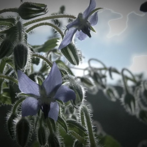 P1120518
