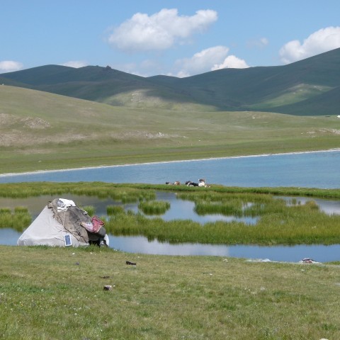 P1190994